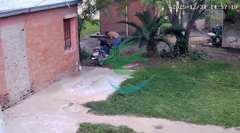 Festejos de Fin de Año “relativamente” tranquilos