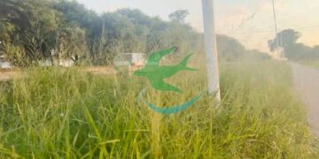 Ruta 89: Cuando el peligro no solo está en el bache, sino en lo que no se ve