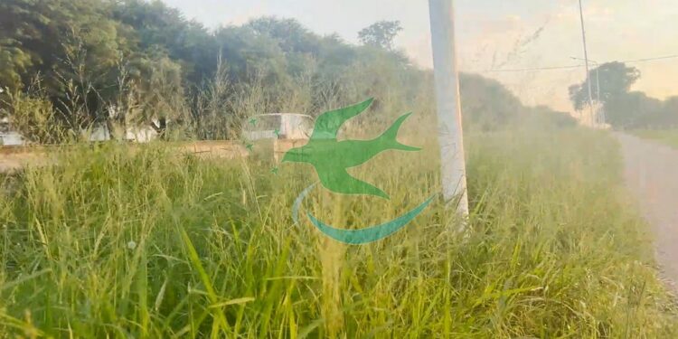 Ruta 89: Cuando el peligro no solo está en el bache, sino en lo que no se ve