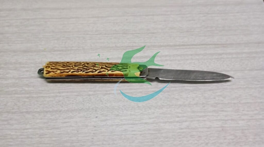 Promovían desorden y terminaron presos