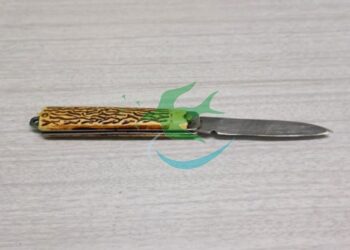 Promovían desorden y terminaron presos