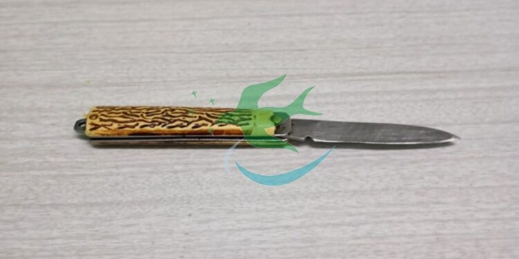 Promovían desorden y terminaron presos