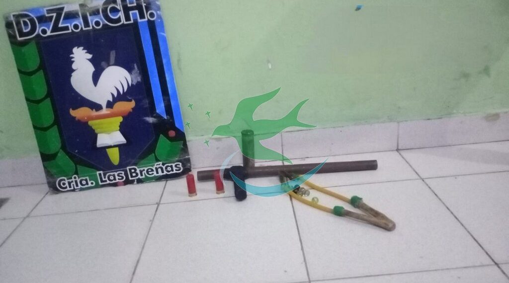 Policía secuestra una tumbera y gomera a dos menores