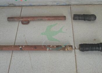 “Guerra entre banditas”