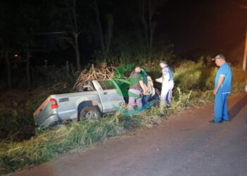 Evitó chocar un perro, y fue a parar a una zanja con su camioneta
