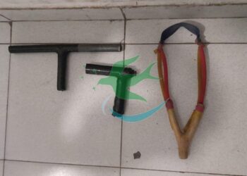 Madre e hija heridas por disparos de “tumberas”