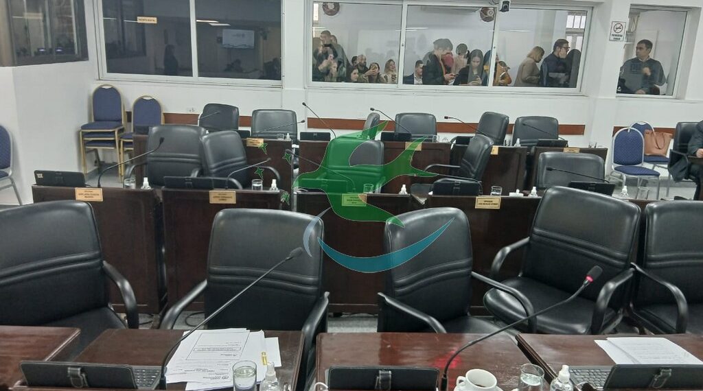 Grave retroceso institucional: el oficialismo impide la interpelación de Meneses.
