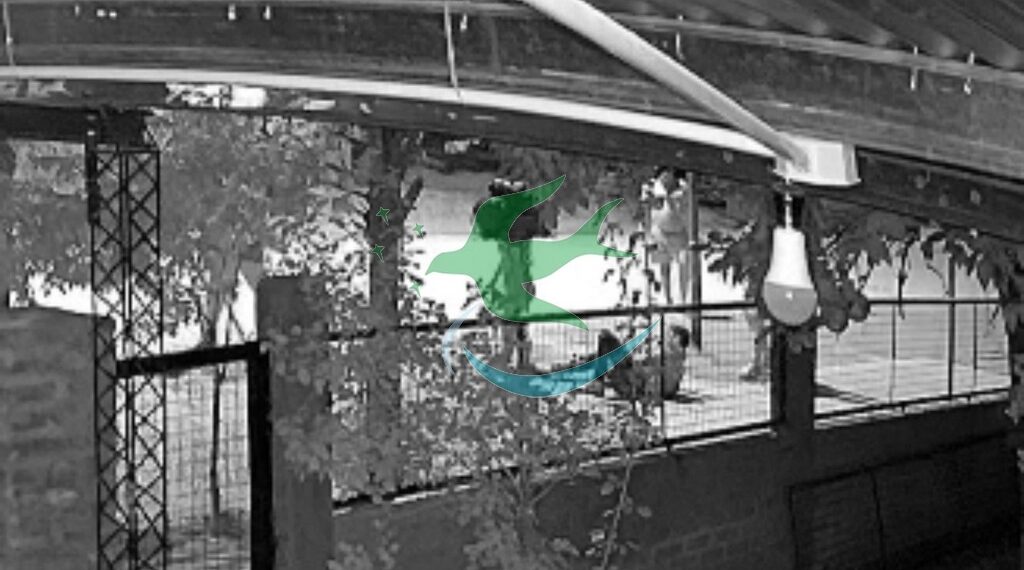 Atacan a un hombre con palazo en la cabeza