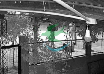 Atacan a un hombre con palazo en la cabeza