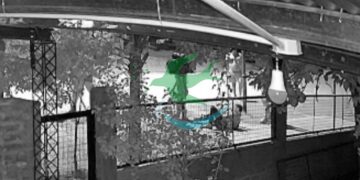 Atacan a un hombre con palazo en la cabeza