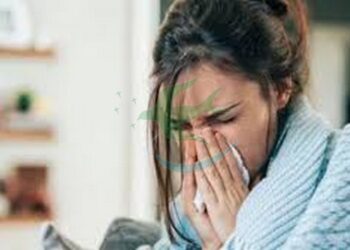 Alerta en todo el país por fuerte crecimiento de gripe