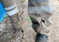 ¿Porqué nadie hace nada con los perros sueltos en Las Breñas?