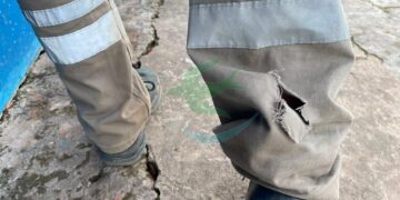 ¿Porqué nadie hace nada con los perros sueltos en Las Breñas?