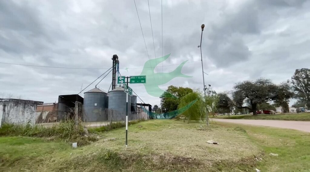 Planta de Silos de Cooperativa: El traslado a un predio de 5 hectáreas como meta definitiva