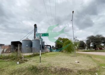 Planta de Silos de Cooperativa: El traslado a un predio de 5 hectáreas como meta definitiva