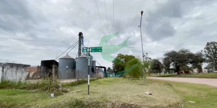 Planta de Silos de Cooperativa: El traslado a un predio de 5 hectáreas como meta definitiva