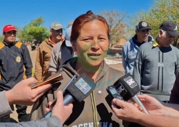 Nora Loza, la “ladrillera” breñense