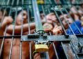 Nuevo Régimen Penal Juvenil, ¿Qué cambia para los menores?