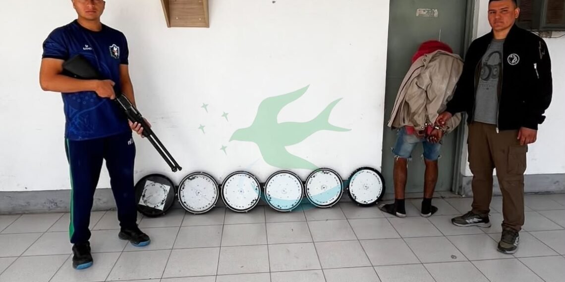 Policía recupera luminarias robadas de una plazoleta Mailín