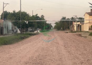 Un mayor y un bebé fueron picados por enjambre de abejas