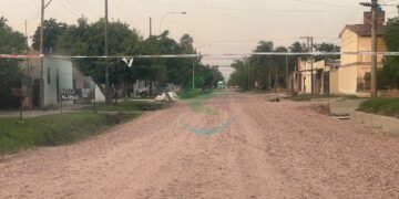 Un mayor y un bebé fueron picados por enjambre de abejas
